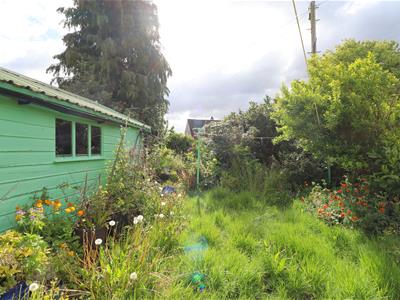 Picture 24